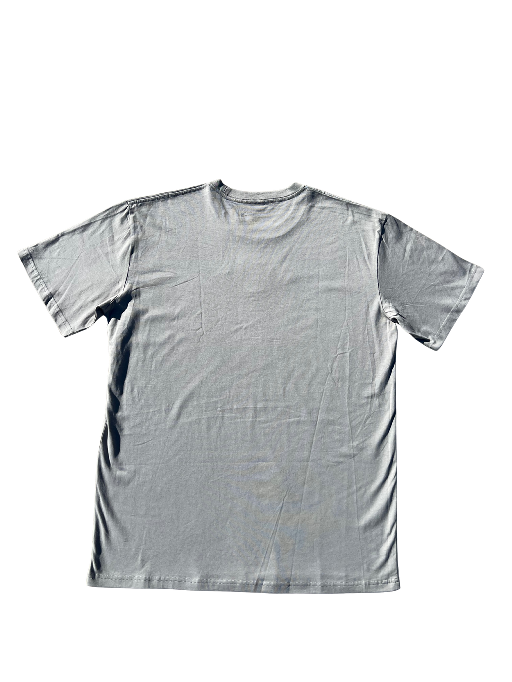 Stabilize Tee